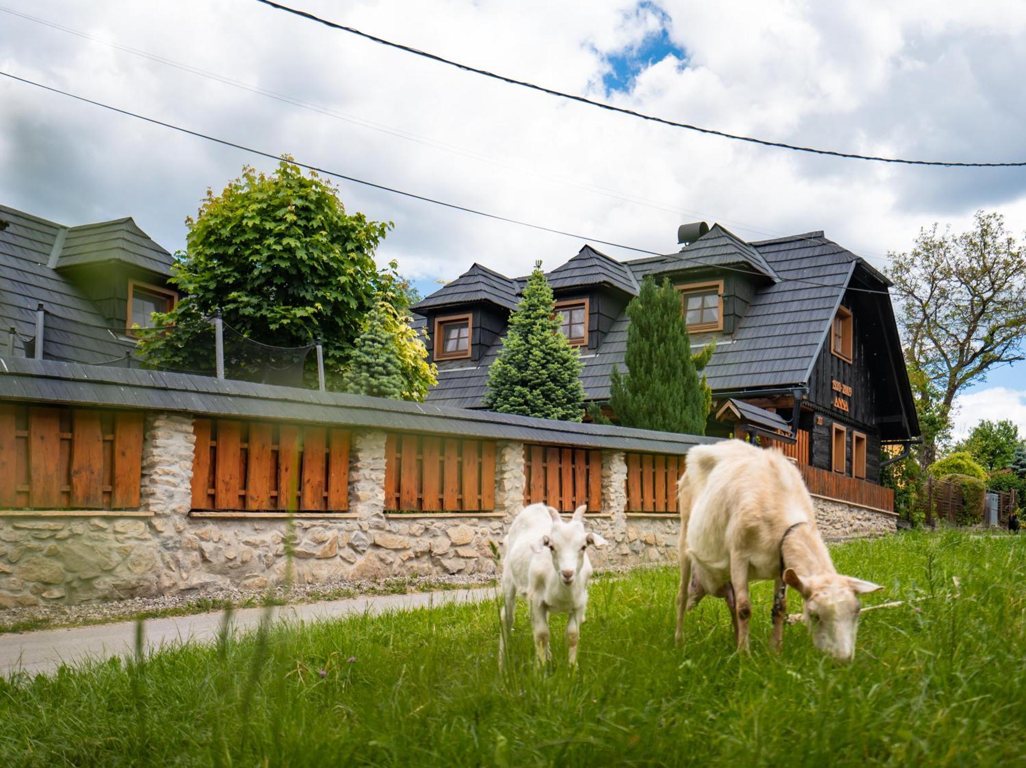 Villa Drevenicka V Durcinej - Anna Durcina Esterno foto